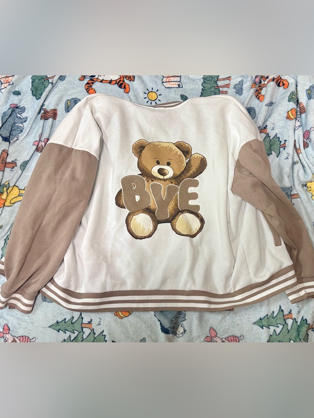 Urban Outfitters Cream & Beige Teddy Graphic Pullover Sweatshirt